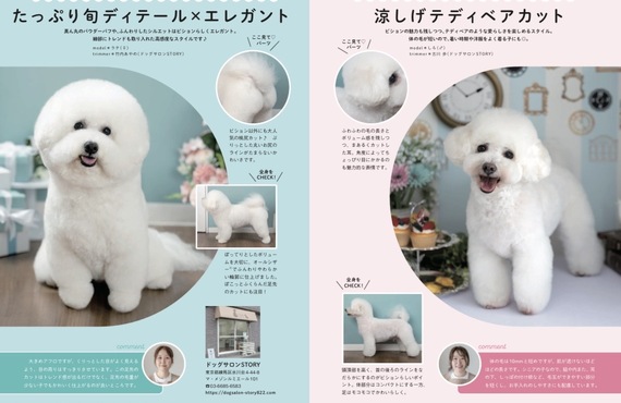 雑誌　WAN 掲載決定　ビションフリーゼ特集