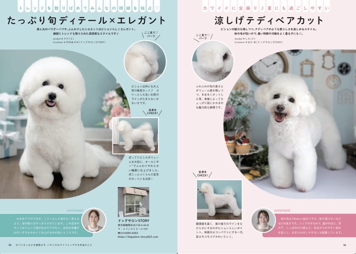 ダウンロード